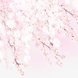 Meet your Posher, Mai